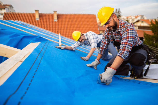 Best Commercial Roofing Services  in Webster Groves, MO