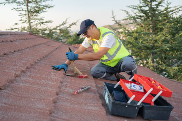 Professional Roofing Contractor in Webster Groves, MO