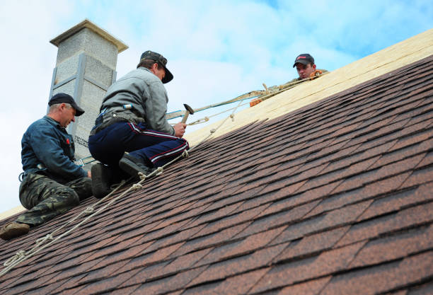 Professional Roofing Contractor in Webster Groves, MO